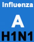 influenzaah1n1
