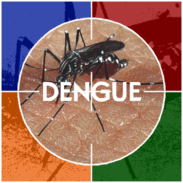 mosquito_dengue