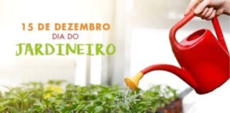 Hoje, segunda-feira (15), celebra o Dia do Jardineiro